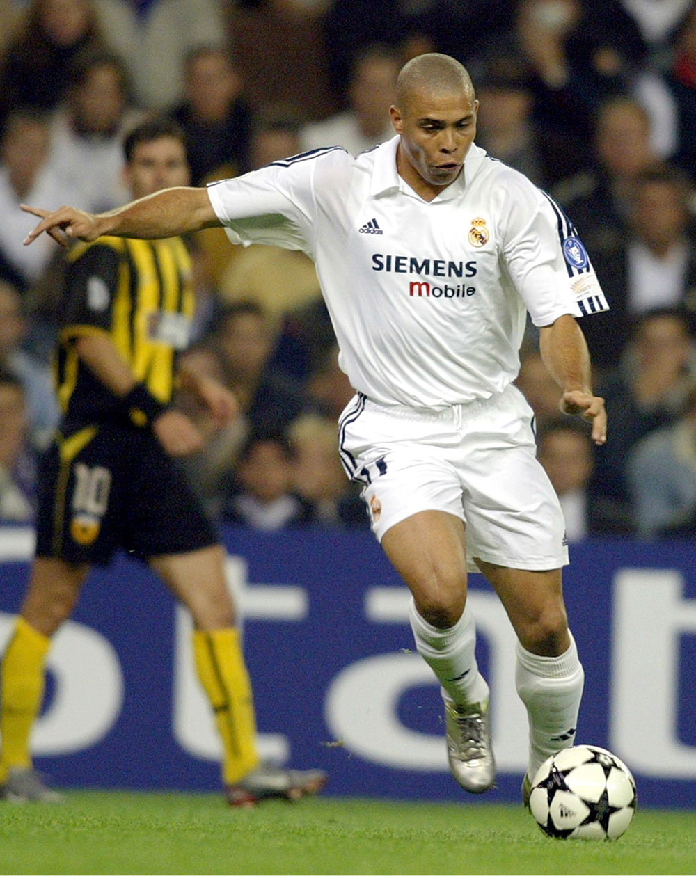 若任命落地 若任命落地